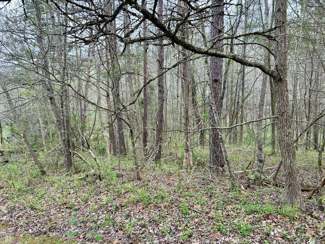 1747 Indian Creek-Gray Road, Corbin, KY 40701