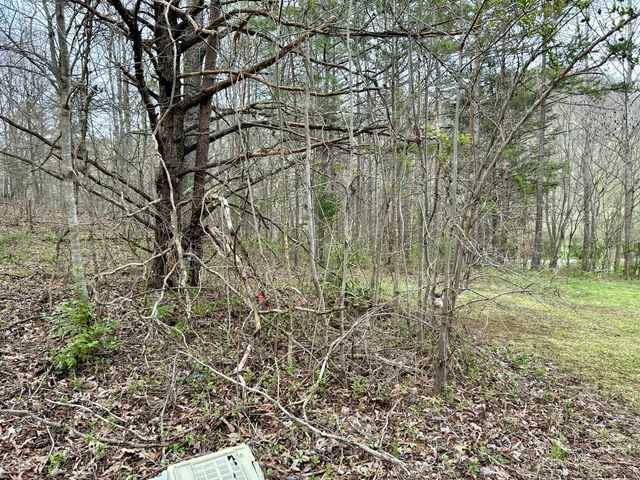 1747 Indian Creek-Gray Road, Corbin, KY 40701