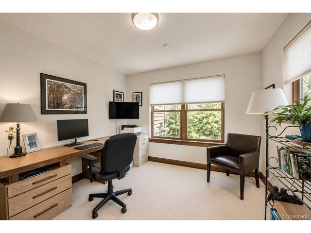 60 Linden Ln, Breckenridge, CO 80424