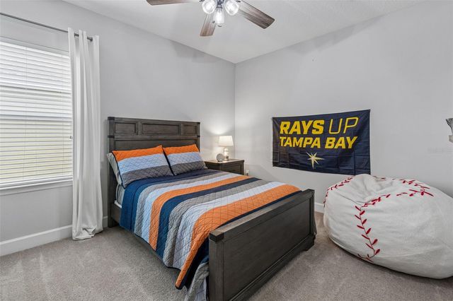 8908 BELLA VITA CIRCLE, Land O Lakes, FL 34637