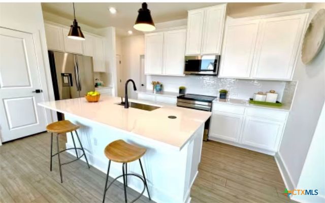 2577 Jack Nora Way, Round Rock, TX 78665