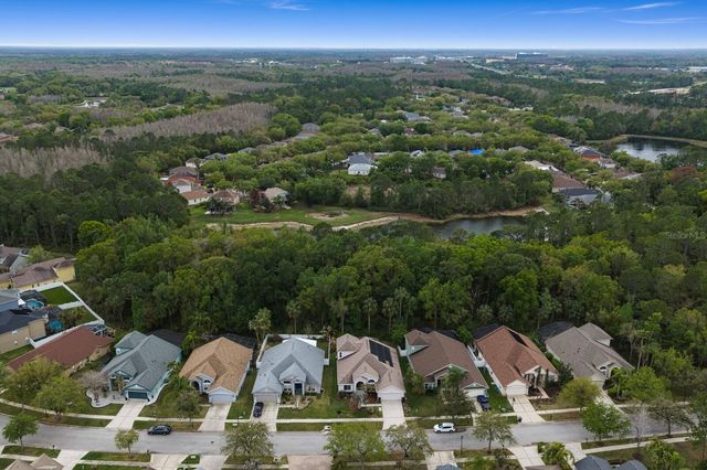 8263 SWANN HOLLOW DRIVE, Tampa, FL 33647