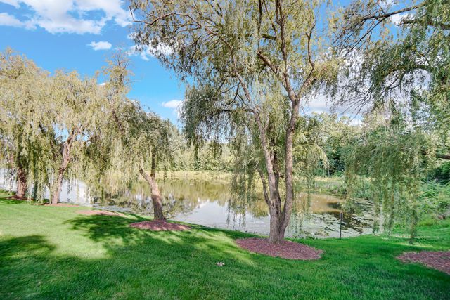 21459 Brittany Drive, Frankfort, IL 60423