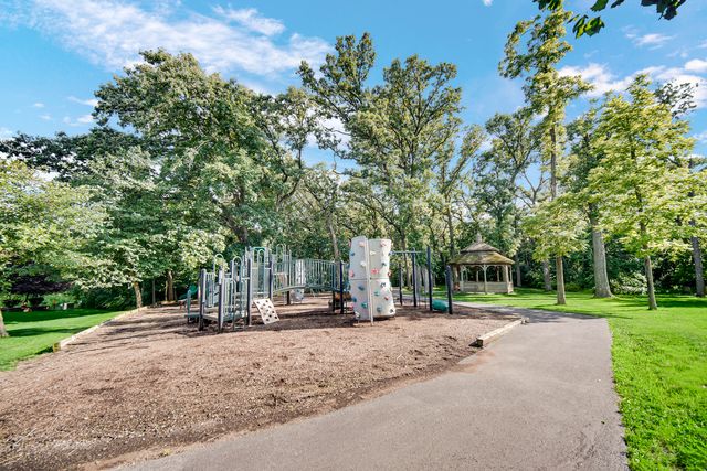 21459 Brittany Drive, Frankfort, IL 60423