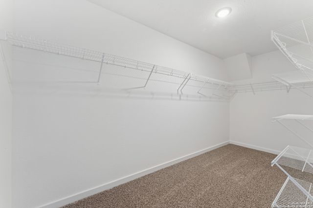 6239 Desert Aloe, San Antonio, TX 78245