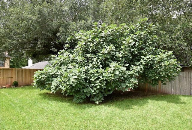 3522 Pecan Point Drive, Sugar Land, TX 77478