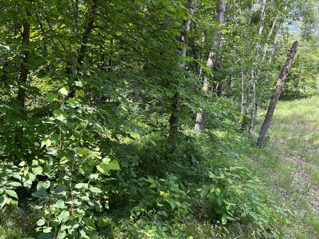 399xx Oriole Court, Browerville, MN 56438