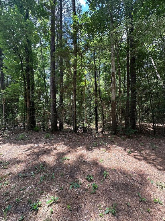 0 Royal Estates Dr, Conroe, TX 77303