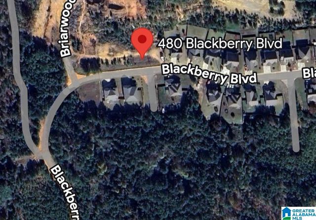 480 BLACKBERRY BOULEVARD, Springville, AL 35146