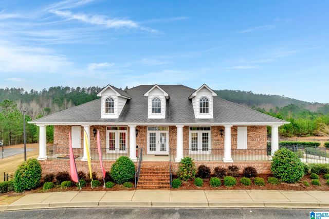 480 BLACKBERRY BOULEVARD, Springville, AL 35146