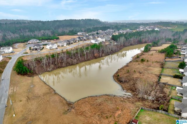 480 BLACKBERRY BOULEVARD, Springville, AL 35146