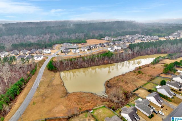 480 BLACKBERRY BOULEVARD, Springville, AL 35146