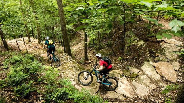 502 & 504 SE A Street, Bentonville, AR 72712