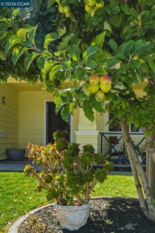 405 Tradewinds Ct, Bay Point, CA 94565