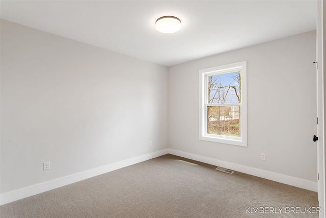11792 Everett Avenue, Allendale, MI 49401