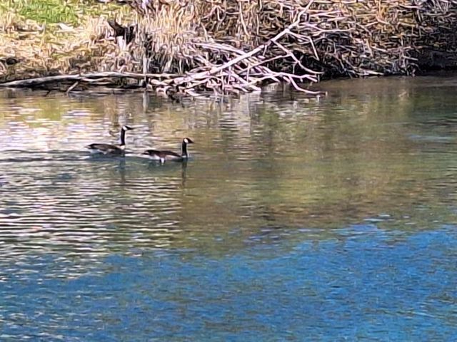 414 N Baker Avenue, Chiloquin, OR 97624