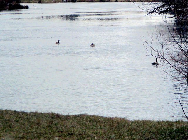 414 N Baker Avenue, Chiloquin, OR 97624