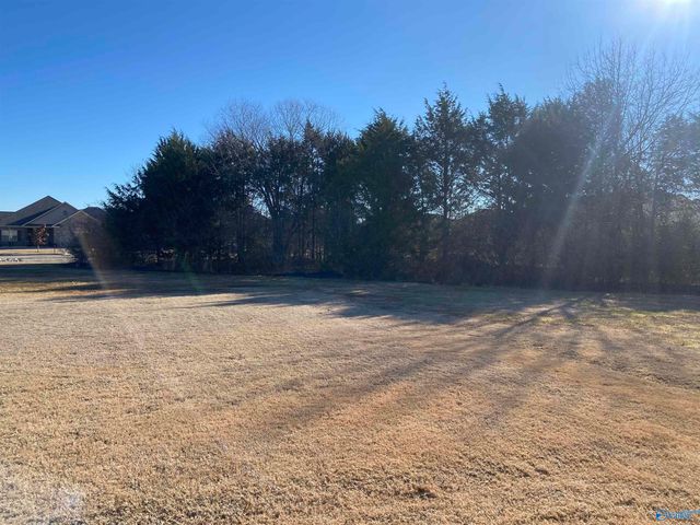 7305 Kendama Court, Owens Cross Roads, AL 35763