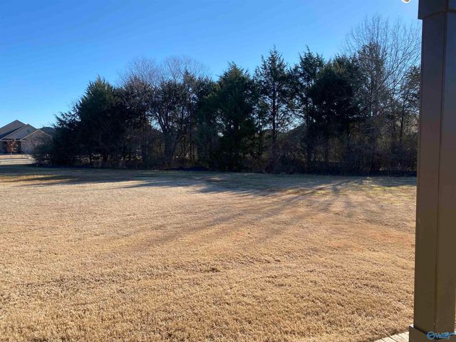 7305 Kendama Court, Owens Cross Roads, AL 35763