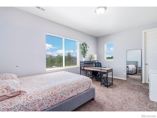 6063 Pryor Road, Timnath, CO 80547