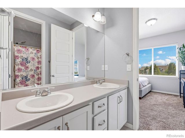 6063 Pryor Road, Timnath, CO 80547