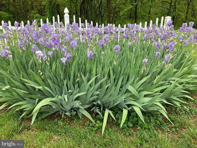 10436 JOHN S MOSBY HWY, Paris, VA 20130