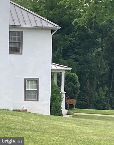 10436 JOHN S MOSBY HWY, Paris, VA 20130