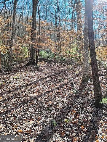 4720 Jones Gap Road, Hiawassee, GA 30546