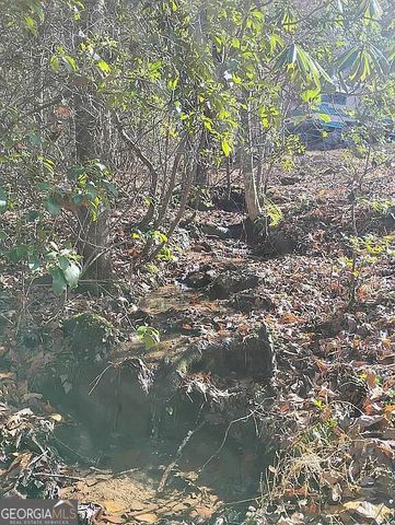 4720 Jones Gap Road, Hiawassee, GA 30546