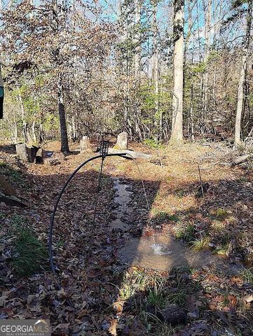 4720 Jones Gap Road, Hiawassee, GA 30546