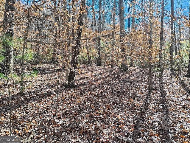 4720 Jones Gap Road, Hiawassee, GA 30546