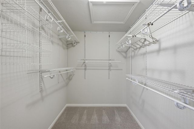 1317 Mimosa PASS, Cedar Park, TX 78613
