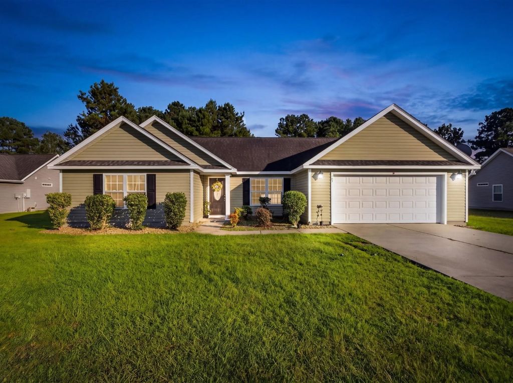 163 Timber Run Dr., Georgetown, SC 29440 — exterior
