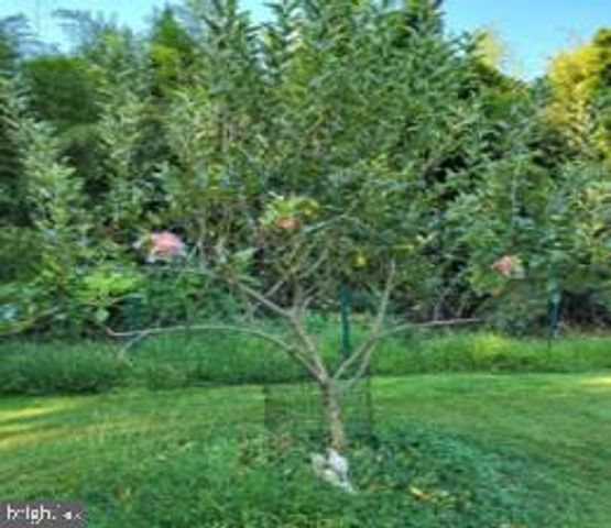 37 GREEN AVE, Lawrenceville, NJ 08648
