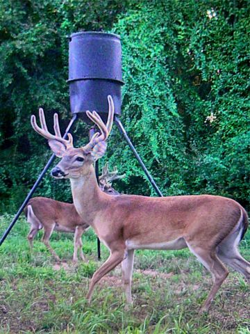 1730 County Road 1103, Athens, TX 75751