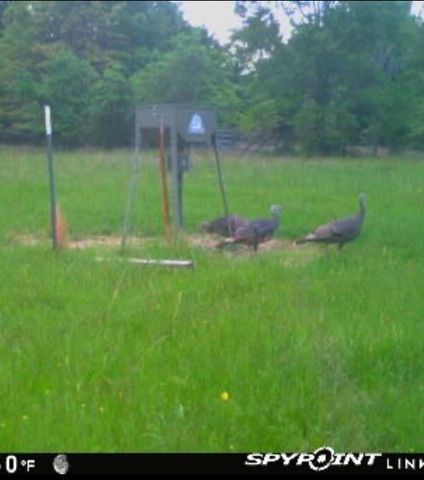 1730 County Road 1103, Athens, TX 75751