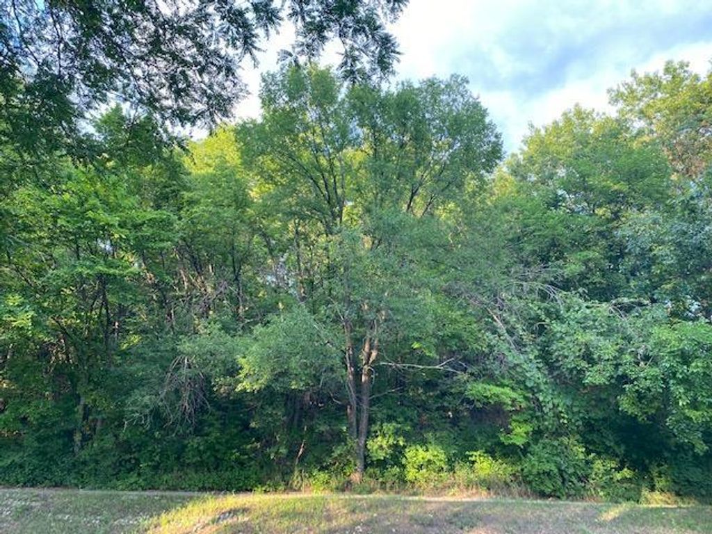 18 Bates Avenue, Saint Paul, MN 55106 — photo 2