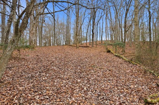 5.01 ac Ada Street, Blue Ridge, GA 30513