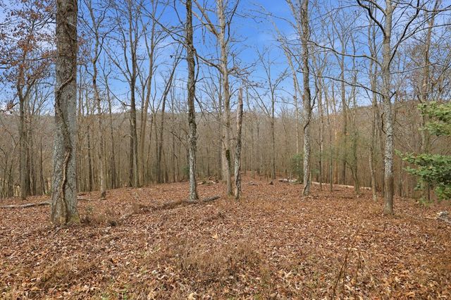 5.01 ac Ada Street, Blue Ridge, GA 30513