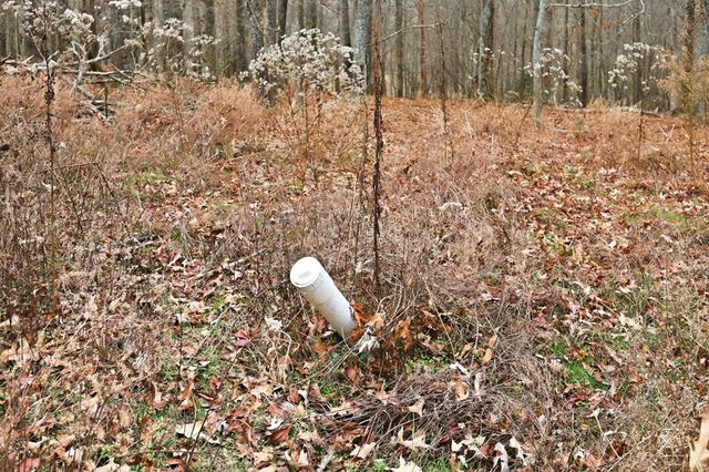 5.01 ac Ada Street, Blue Ridge, GA 30513