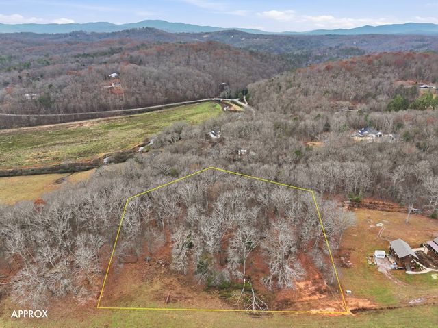 5.01 ac Ada Street, Blue Ridge, GA 30513