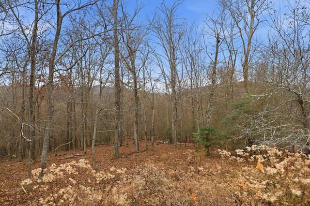 5.01 ac Ada Street, Blue Ridge, GA 30513