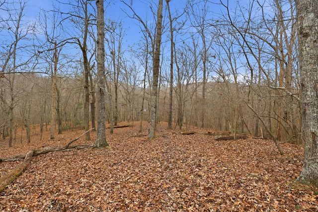 5.01 ac Ada Street, Blue Ridge, GA 30513