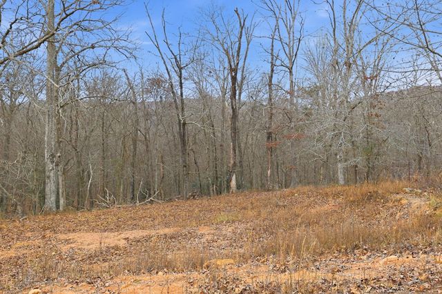 5.01 ac Ada Street, Blue Ridge, GA 30513