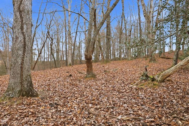 5.01 ac Ada Street, Blue Ridge, GA 30513