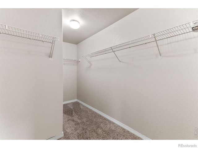 896 Antila Avenue, Loveland, CO 80537
