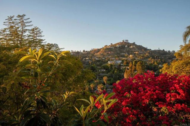 9802 LYNCAROL DR, La Mesa, CA 91941