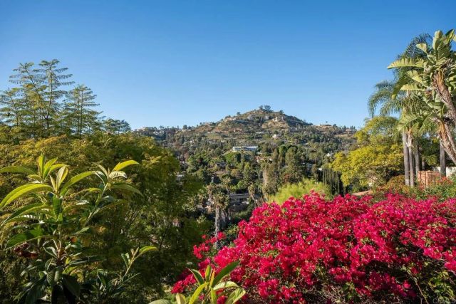 9802 LYNCAROL DR, La Mesa, CA 91941