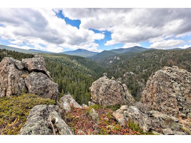 263 Barrows Ranch Rd, Evergreen, CO 80439