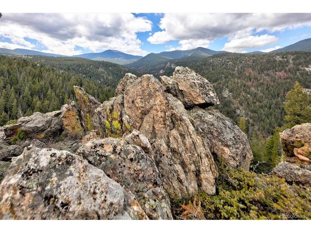 263 Barrows Ranch Rd, Evergreen, CO 80439